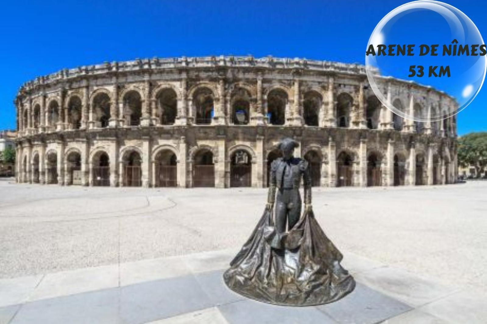 Le Cosy Du Gal, A 2 Pas Du Palais Des Papes Parking Gratuit Securise Apartment Avignon Exterior photo